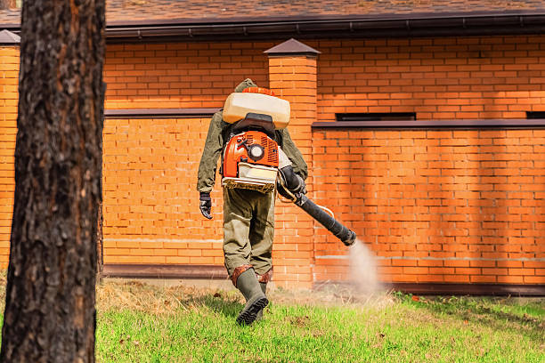 Bed Bug Clearance Verification and Documentation in Montgomery